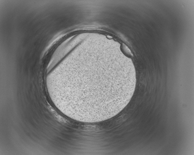 X0000080181456200701051645