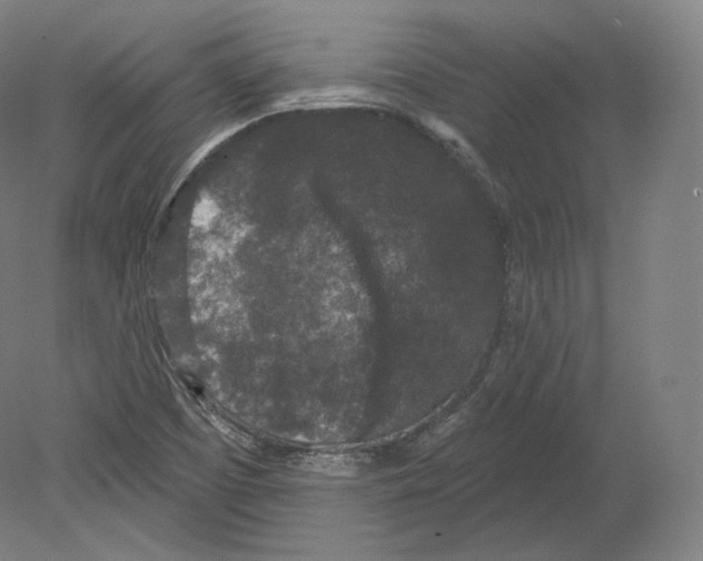 X0000080181457200701051644