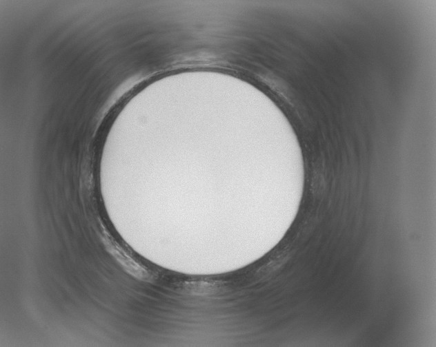 X0000080181458200701051644