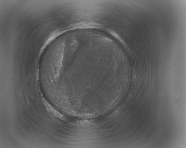 X0000080181459200701051644