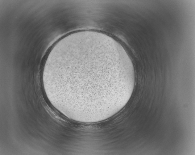 X0000080181460200701051644