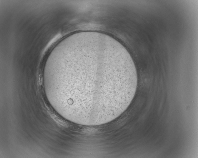 X0000080181462200701051644