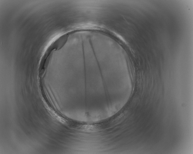 X0000080181463200701051644