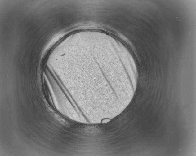 X0000080181464200701051644