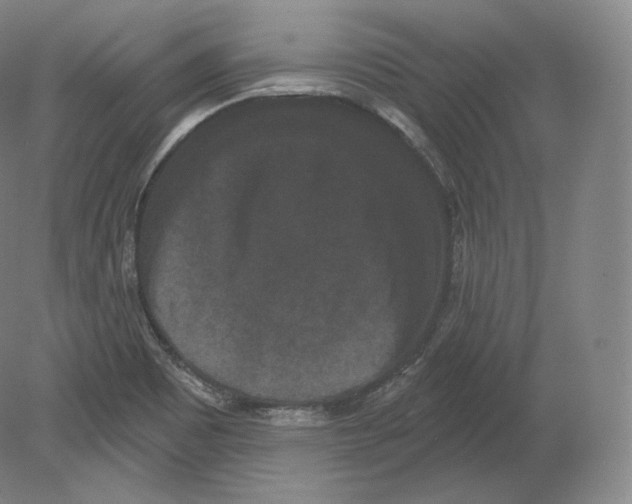 X0000080181465200701051644