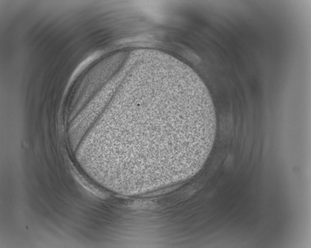 X0000080181466200701051644