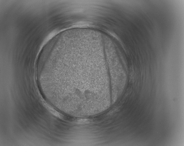 X0000080181467200701051644