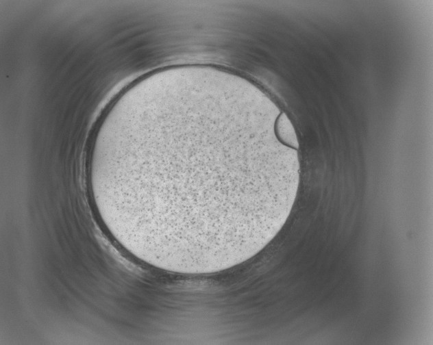 X0000080181468200701051644