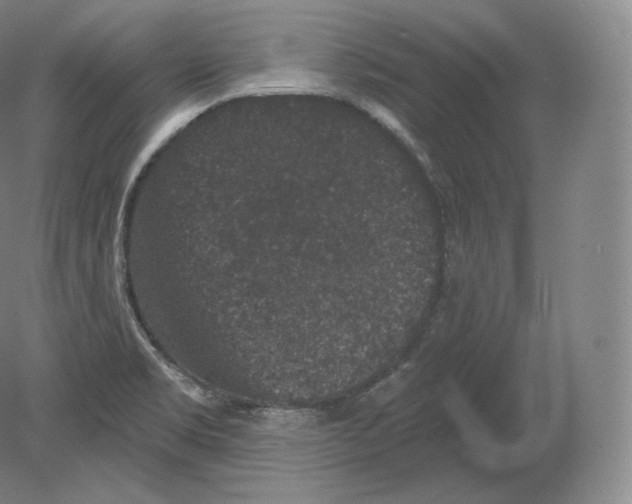 X0000080181469200701051644