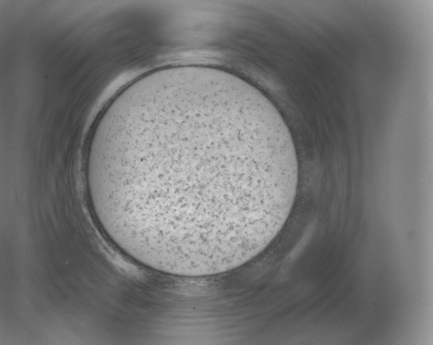 X0000080181470200701051644