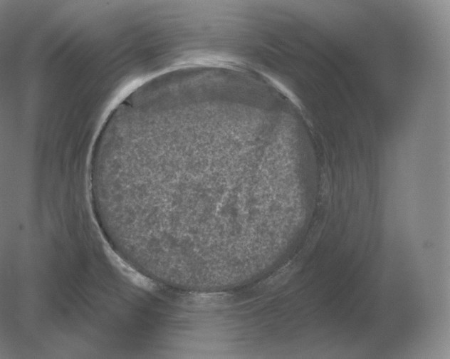 X0000080181471200701051644