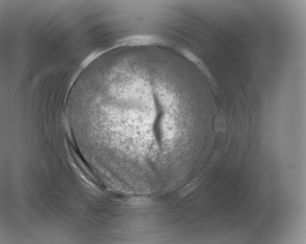 X0000080181473200701051644