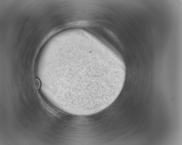 X0000080181475200701051644