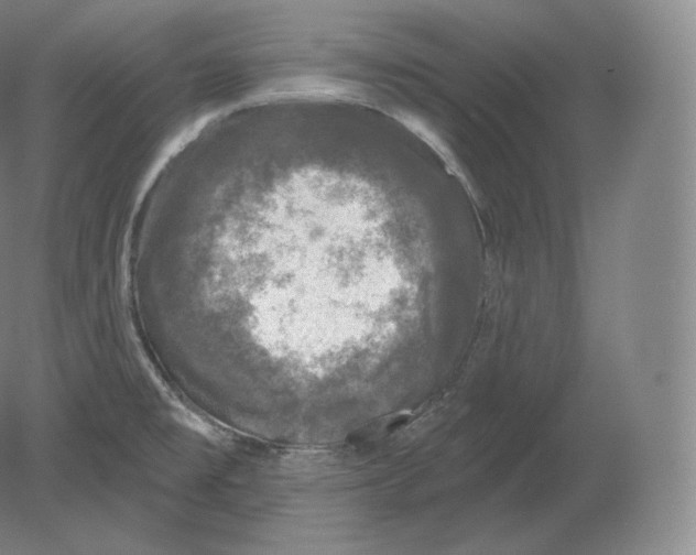 X0000080181477200701051644