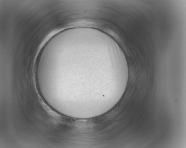 X0000080181478200701051644