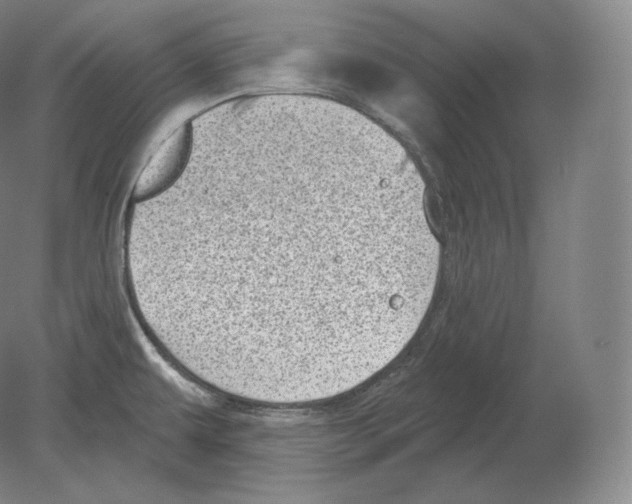 X0000080181479200701051644