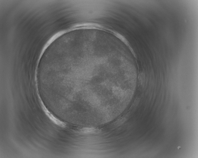 X0000080181482200701051644