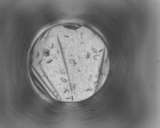 X0000080181483200701051644