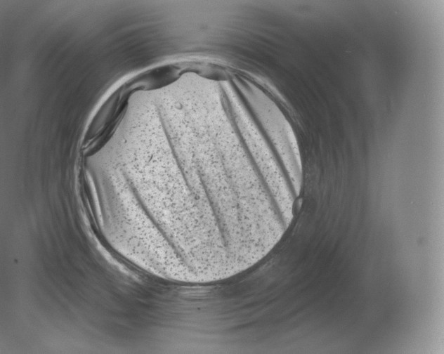 X0000080181484200701051644