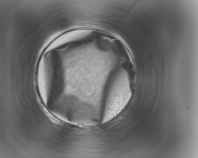 X0000080181485200701051644