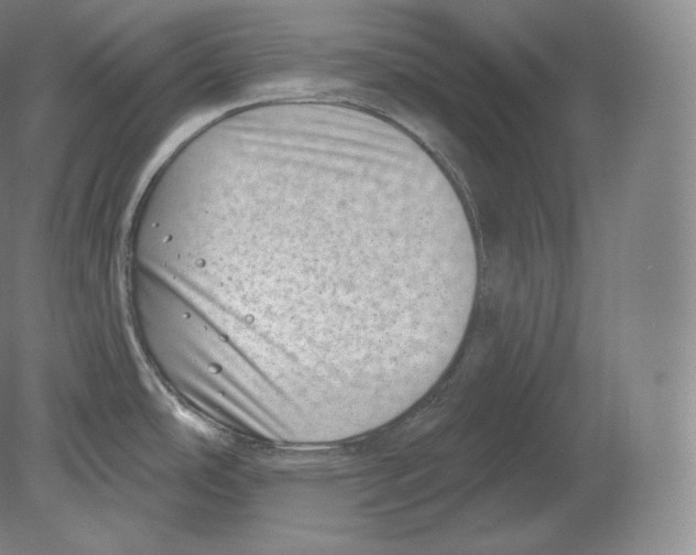 X0000080181486200701051644