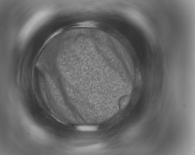 X0000080181487200701051644