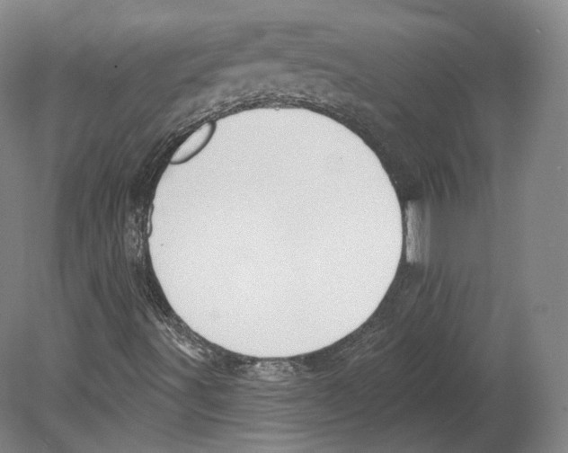 X0000080181491200701051643