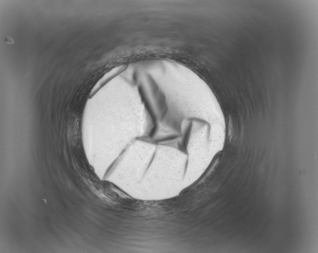 X0000080181492200701051643