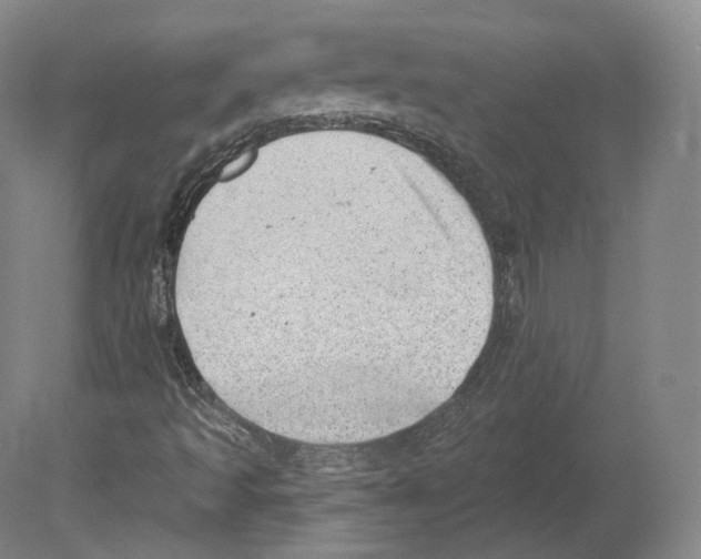 X0000080181493200701051643