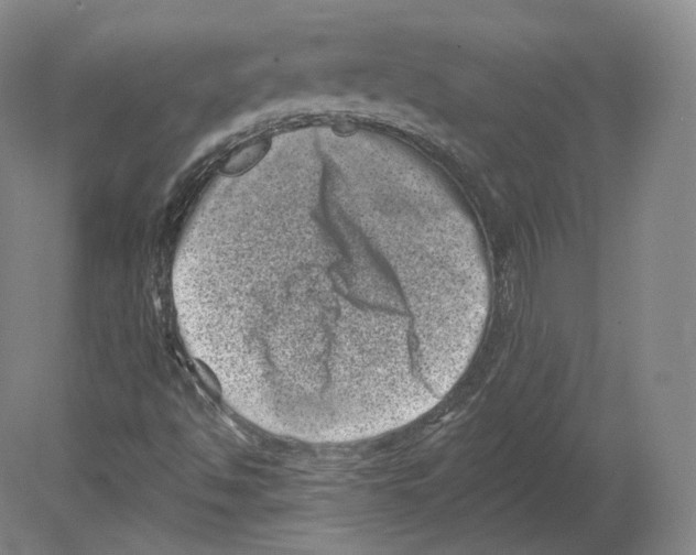 X0000080181494200701051643