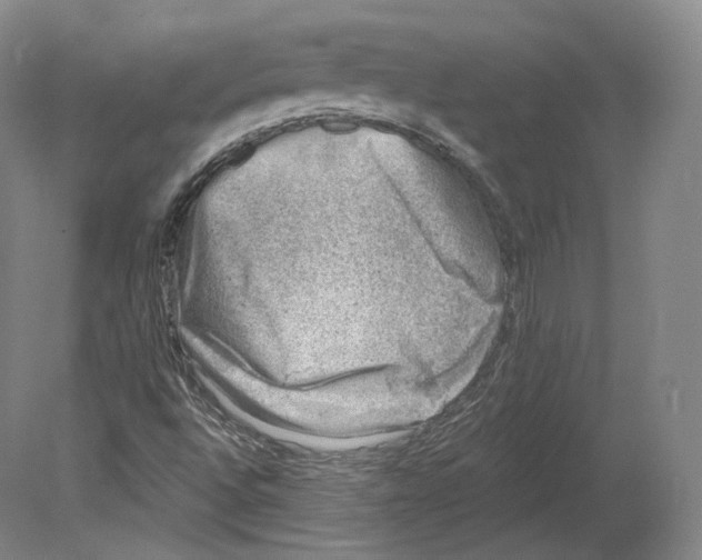 X0000080181496200701051643