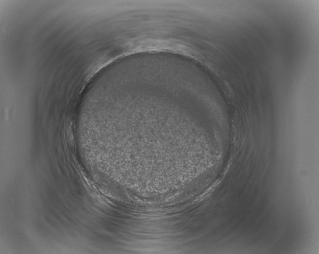 X0000080181497200701051643