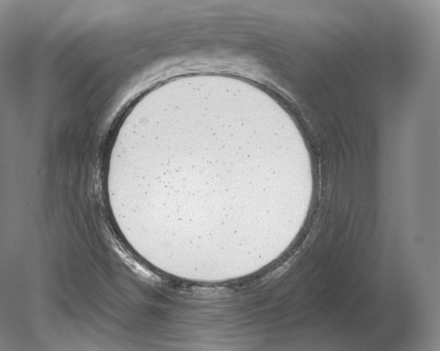 X0000080181498200701051643