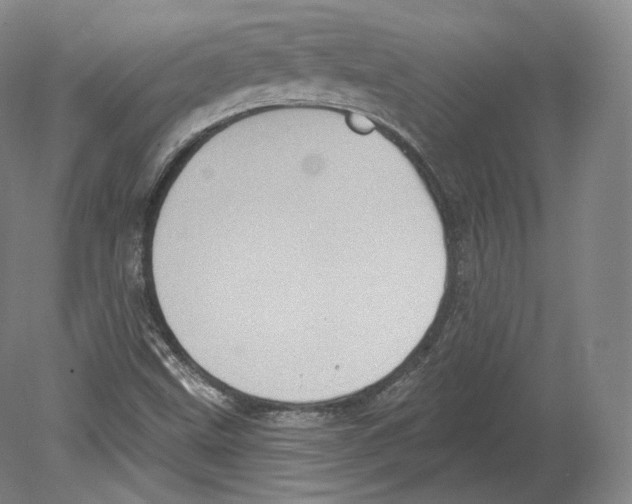 X0000080181499200701051643