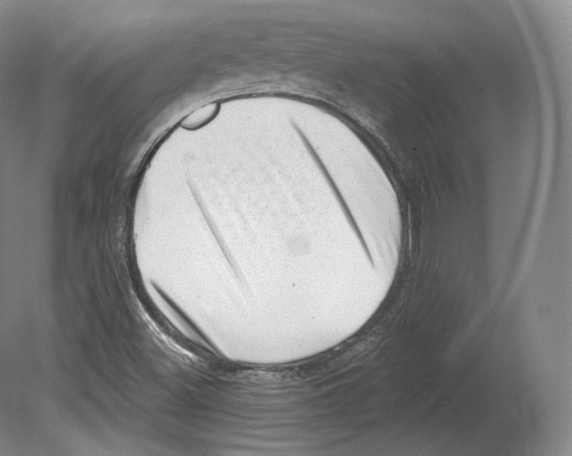 X0000080181500200701051643