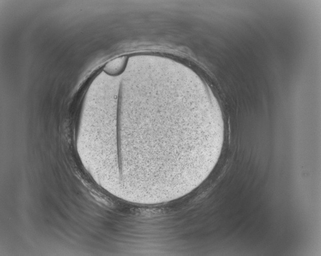 X0000080181501200701051643