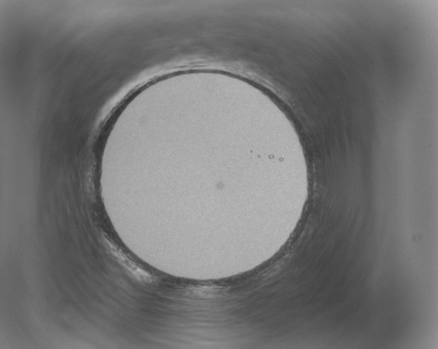 X0000080181502200701051643