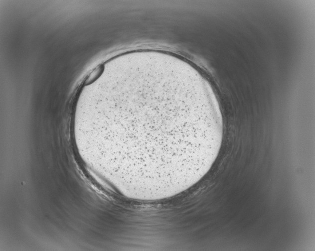 X0000080181504200701051643