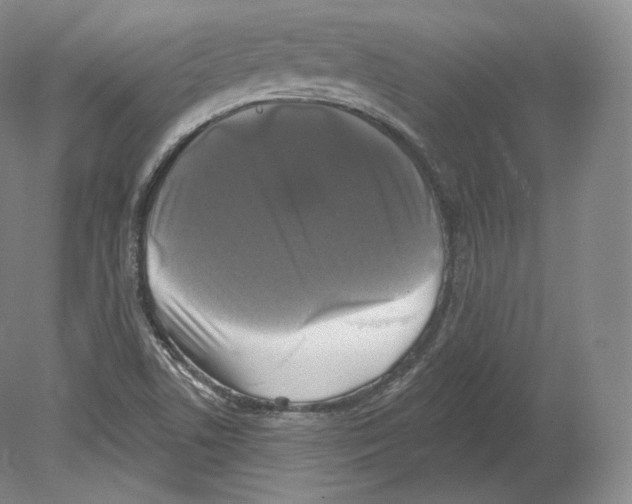 X0000080181506200701051643