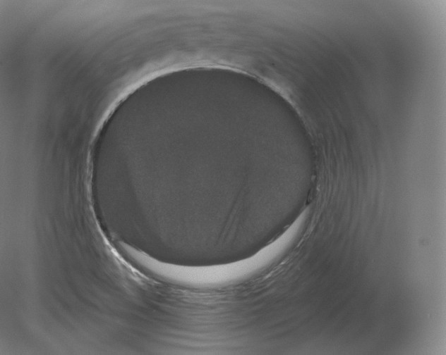 X0000080181508200701051643