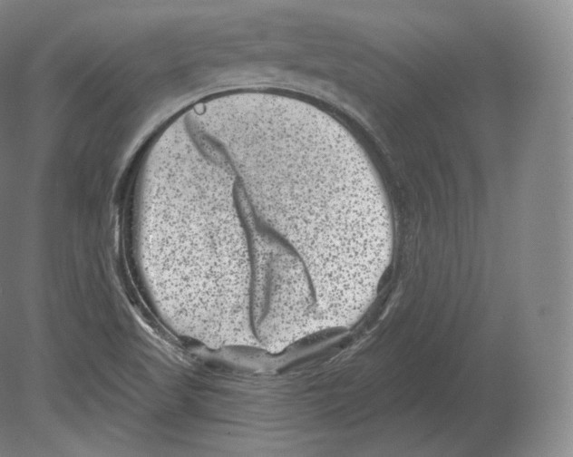 X0000080181509200701051643