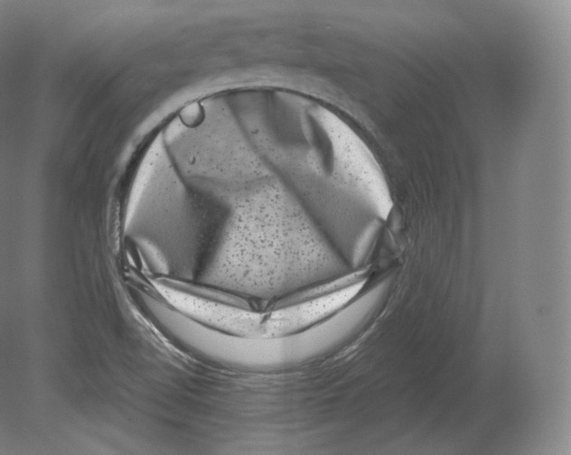 X0000080181510200701051644