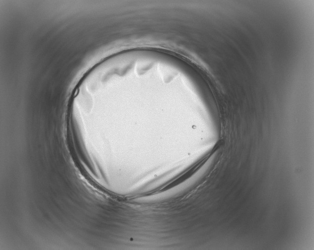 X0000080181512200701051644