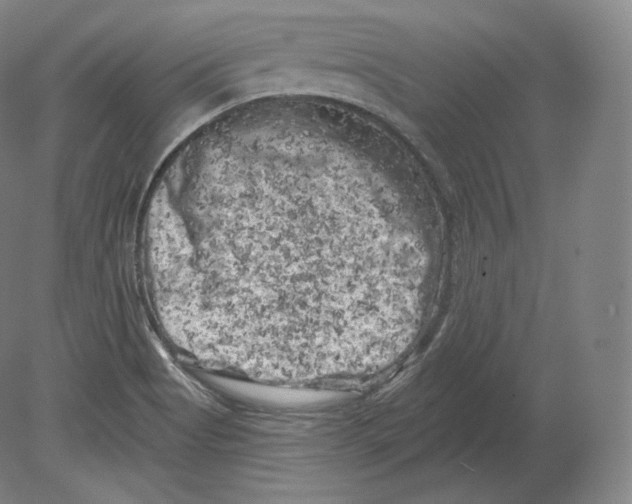 X0000080181513200701051644