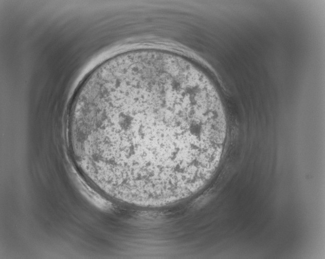 X0000080181514200701051644