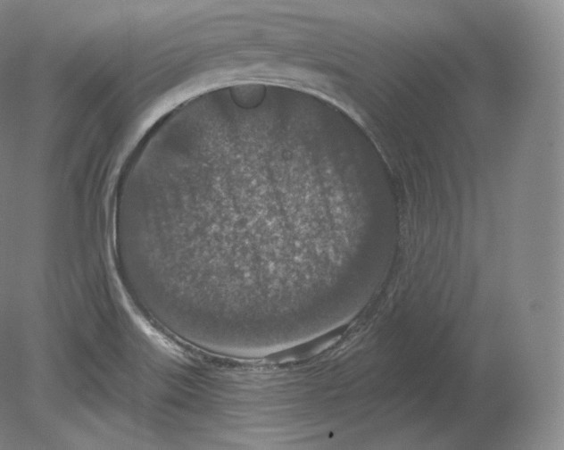 X0000080181515200701051644