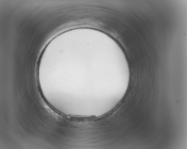 X0000080181516200701051644