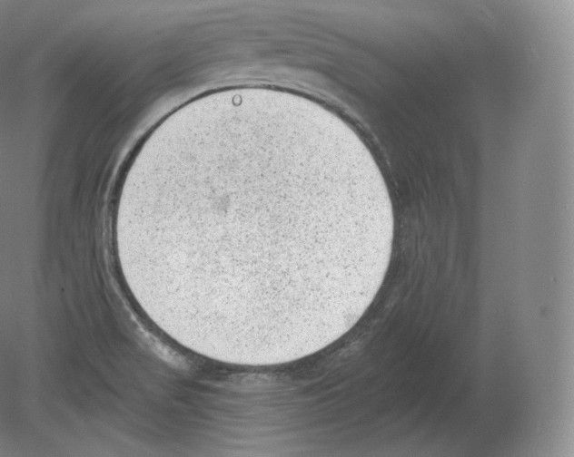 X0000080181517200701051644