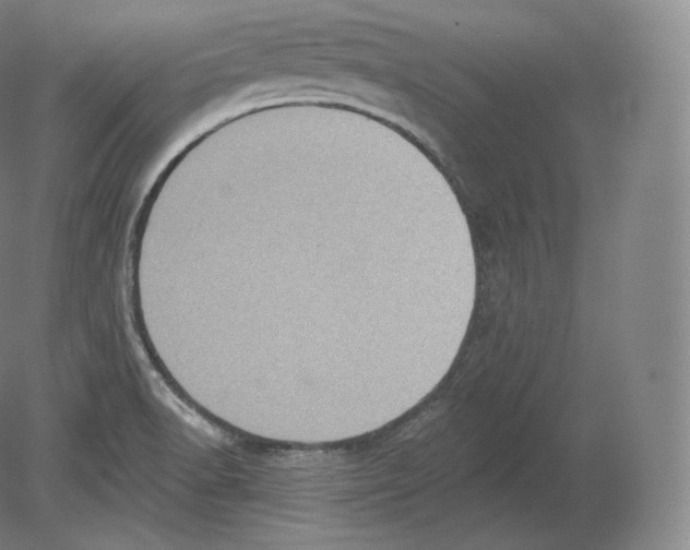 X0000080181518200701051644