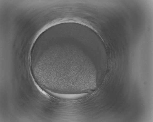 X0000080181519200701051644